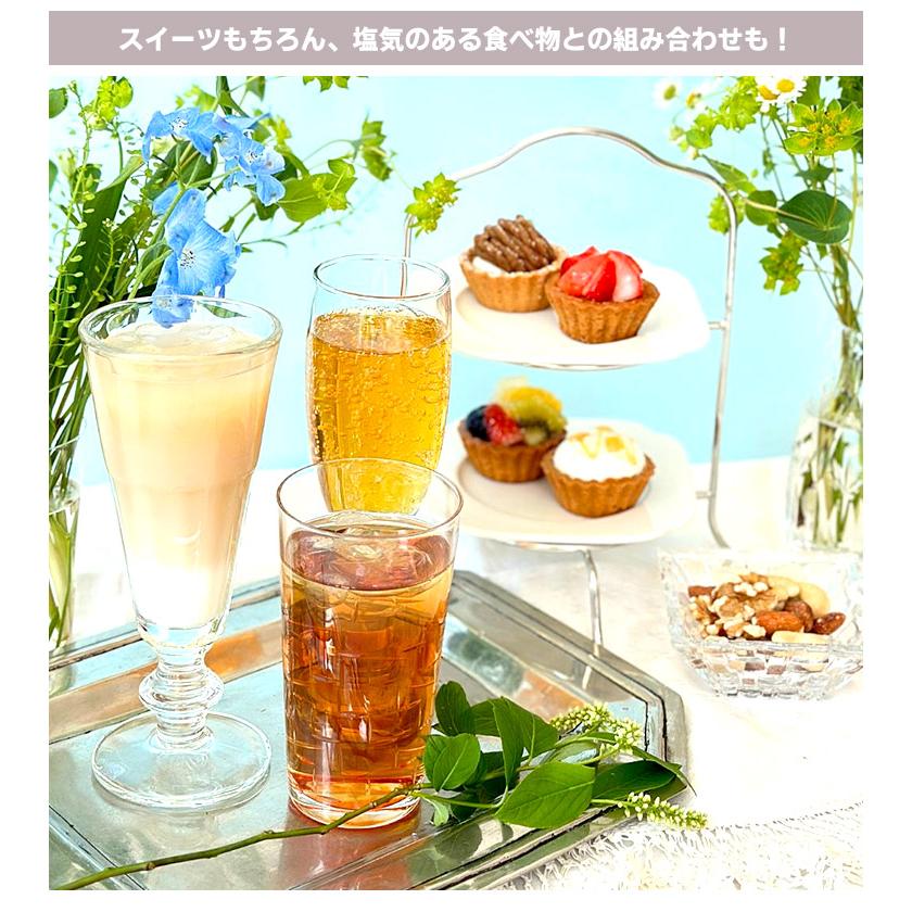 カレルチャペック（Karel Capek） アイスティー ポット用ティーバッグ