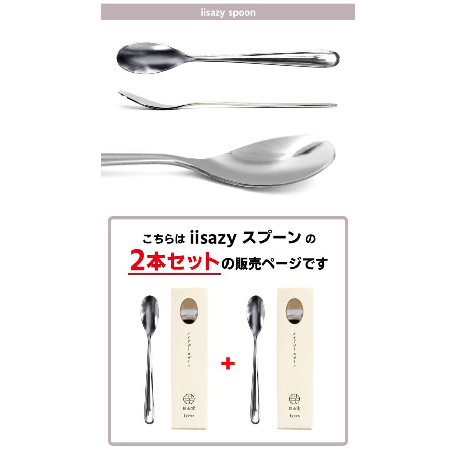iisazy スプーン 2本セット （ユニバーサルデザイン 燕三条 日本製