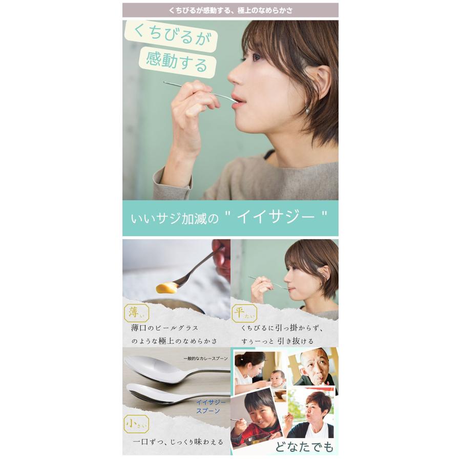 iisazy スプーン 2本セット （ユニバーサルデザイン 燕三条 日本製