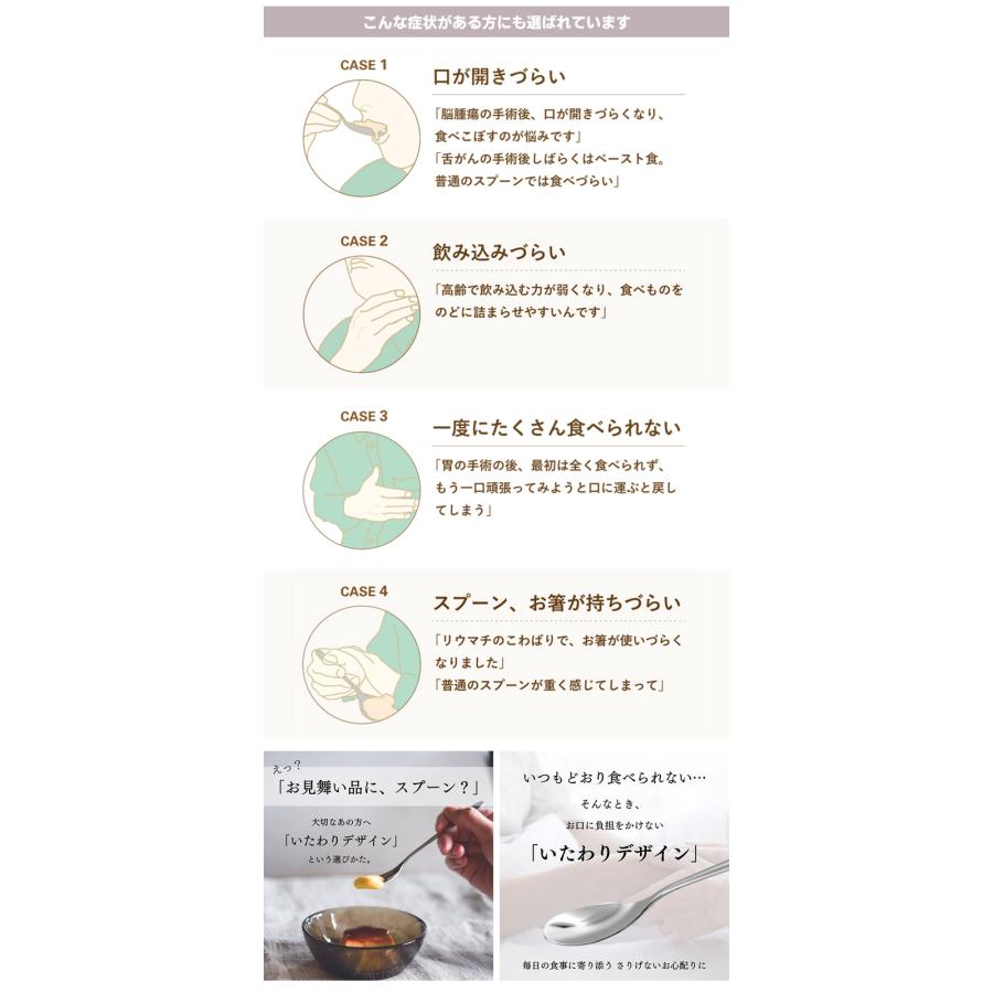 iisazy スプーン 2本セット （ユニバーサルデザイン 燕三条 日本製