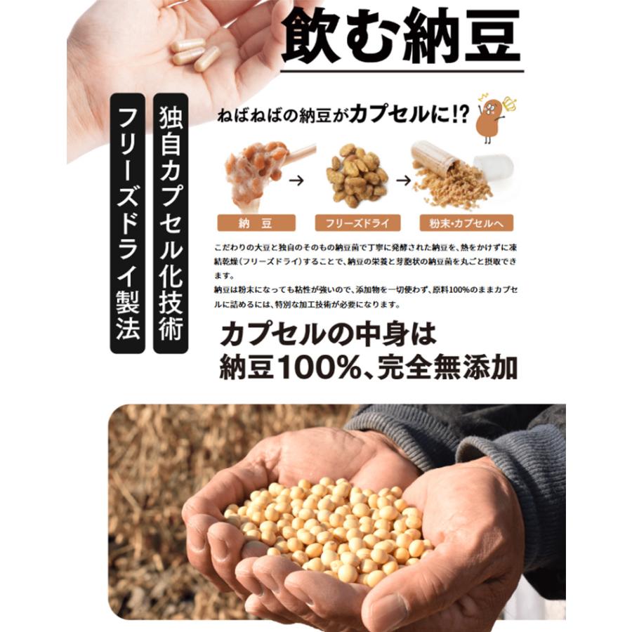 そのもの納豆 90粒 カプセル （国内産 納豆 納豆菌 サプリ