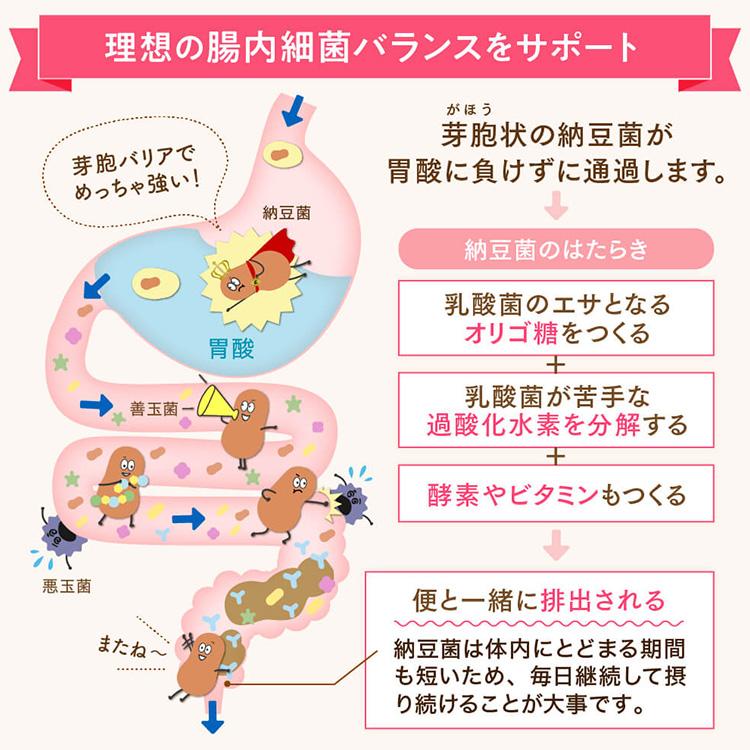 そのもの納豆 60粒 カプセル（30粒×2袋） （国内産 納豆 納豆菌 サプリ