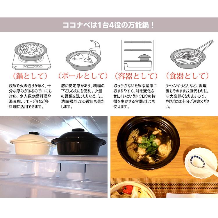 野田琺瑯 ココナベ せいろセット 大 21cm せいろ2段 （0.98L ガス・IH