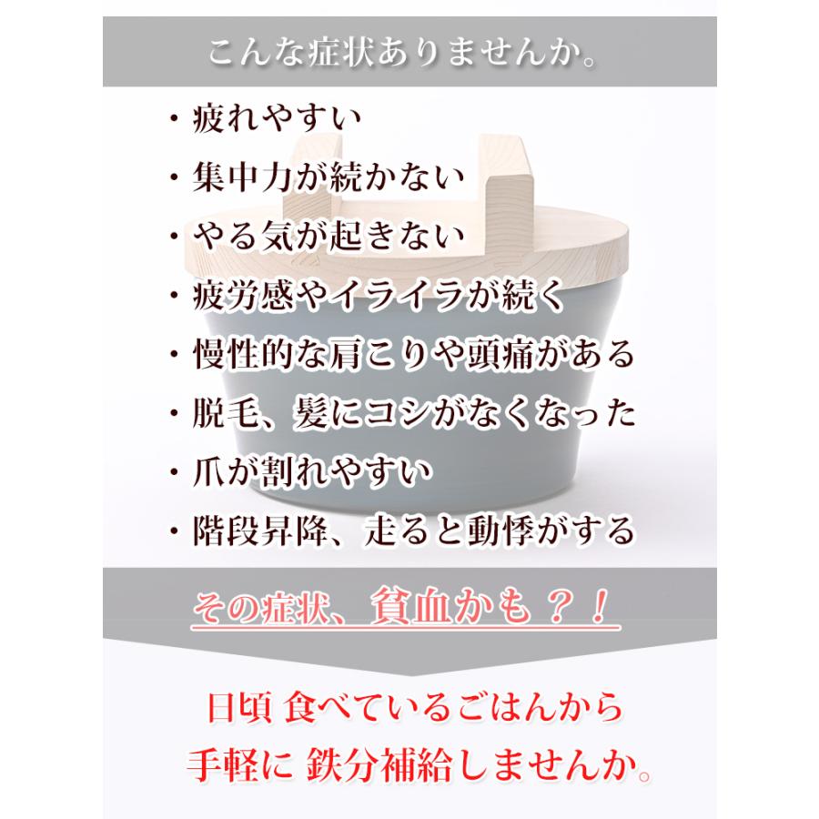 お米炊くパン （藤田金属 鉄製炊飯鍋 鉄鍋 直径18cm 日本製 3合炊 IH