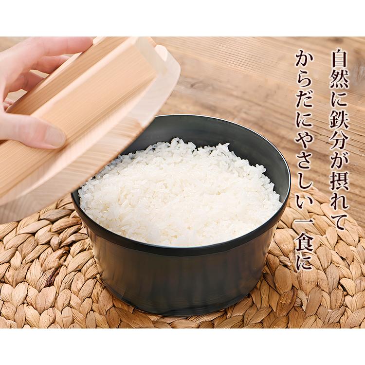 お米炊くパン （藤田金属 鉄製炊飯鍋 鉄鍋 直径18cm 日本製 3合炊 IH