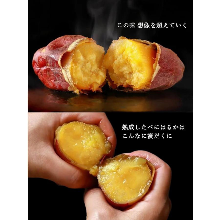 LITHON 超蜜やきいもトースター G2 グレー （やきいも 焼きいも 焼き芋