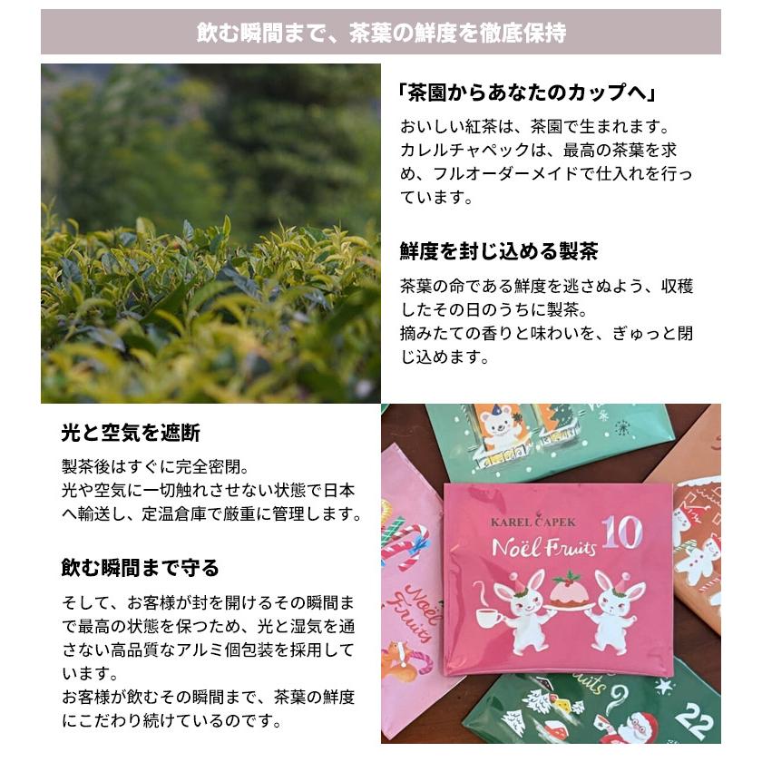 カレルチャペック（Karel Capek） クリスマスアドベント缶 25P ティー