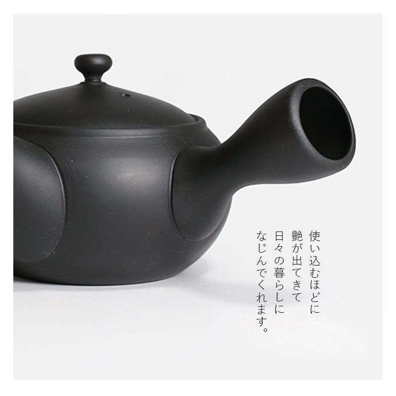 常滑焼 急須 IROIRO 06 （250ml 陶器 茶器 日本製 人水 JINSUI