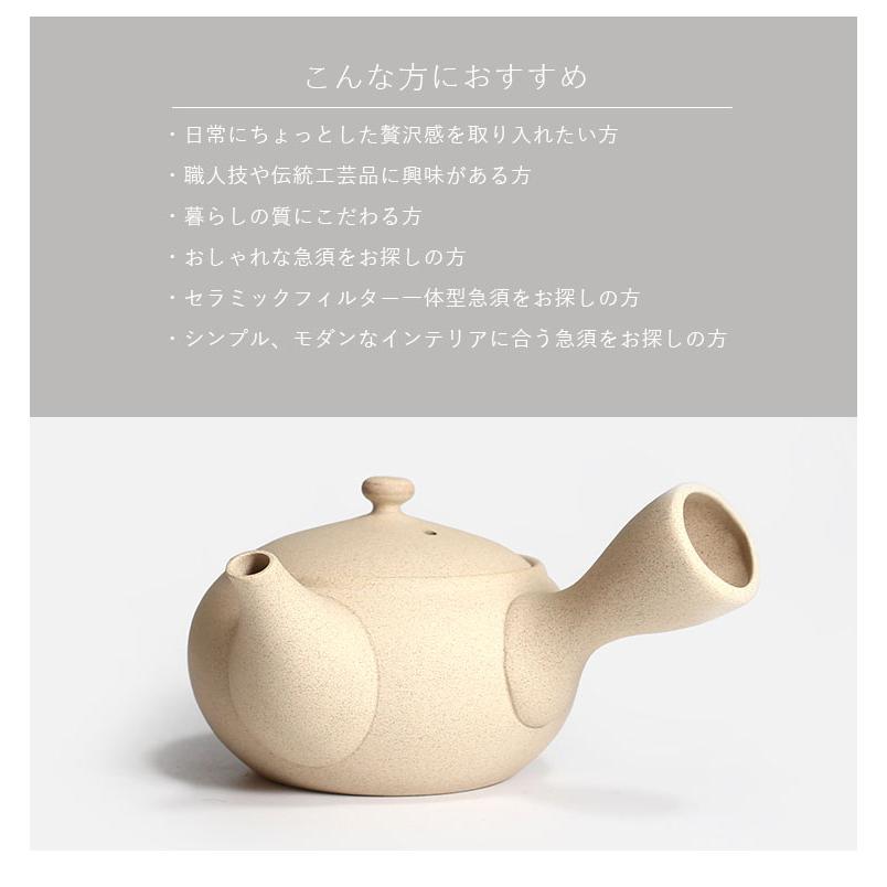 常滑焼 急須 IROIRO 06 （250ml 陶器 茶器 日本製 人水 JINSUI