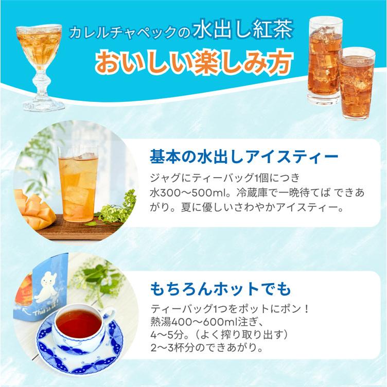 カレルチャペック（Karel Capek） 2026 水出しマスカットウーロン