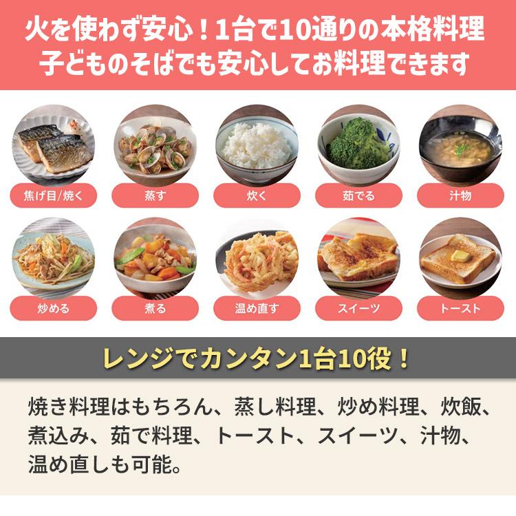 FastChef レンジレンジ 電子レンジ調理機 （ファストシェフ レンジ
