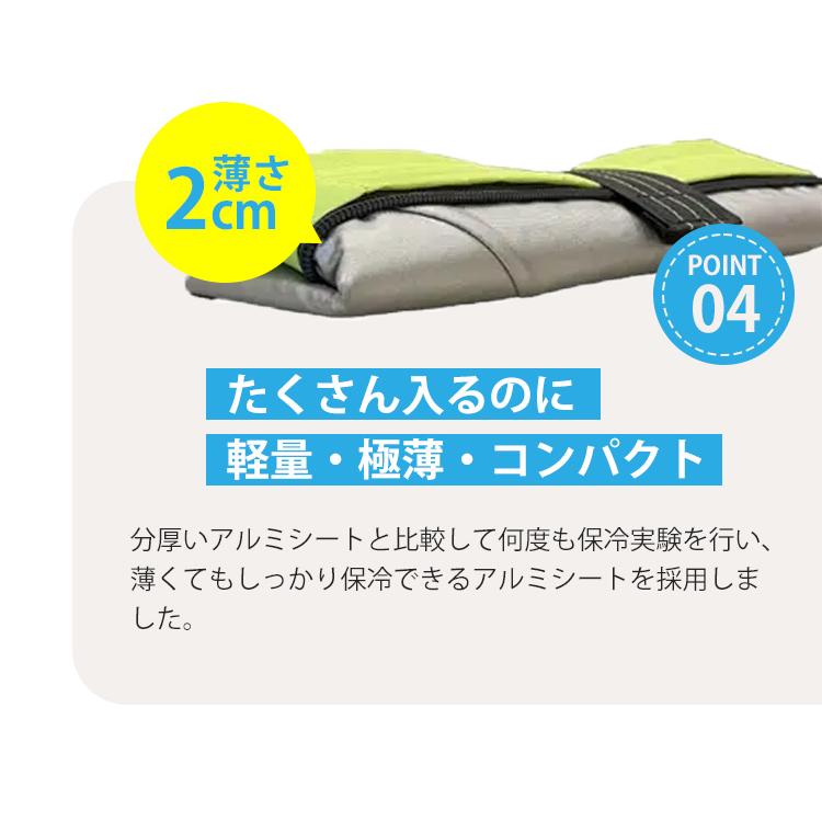 ORIBA Cooler 小サイズ （オリバ 保冷エコバッグ 保冷バッグ 自立
