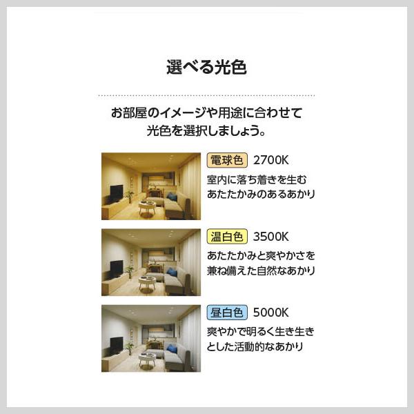 コイズミ照明 ダウンライト 100φ LED 選べる光源色 屋外 防水 防雨
