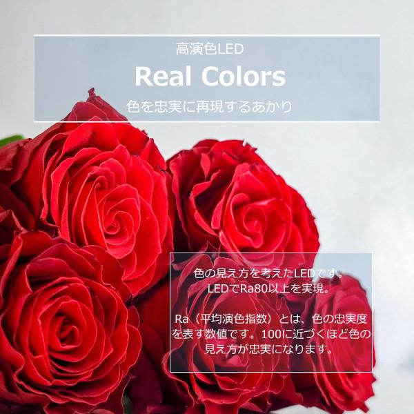 ODELIC（オーデリック） キッチンライト LED 流し元灯 昼白色