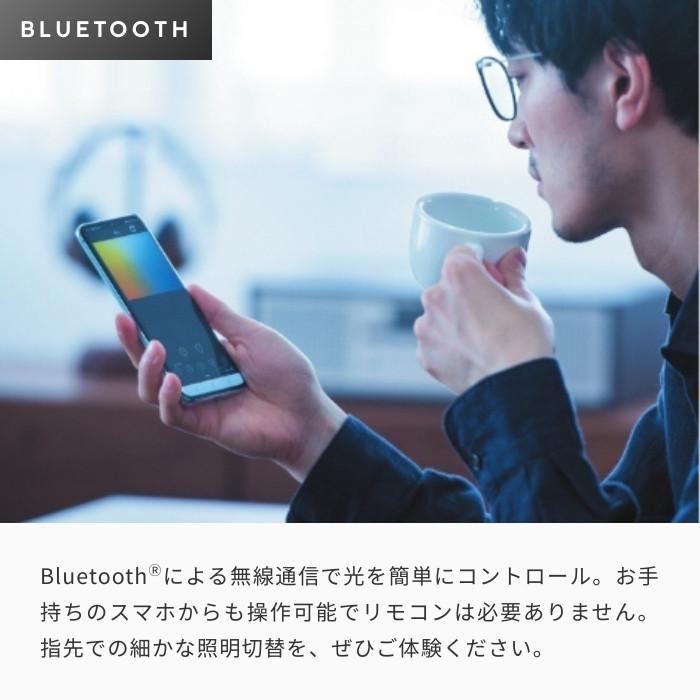 ODELIC（オーデリック） シャンデリア 北欧 リングデザイン 天井照明