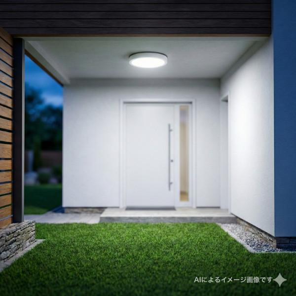 ODELIC（オーデリック） 外灯 軒下灯 玄関灯 ポーチライト LED 照明