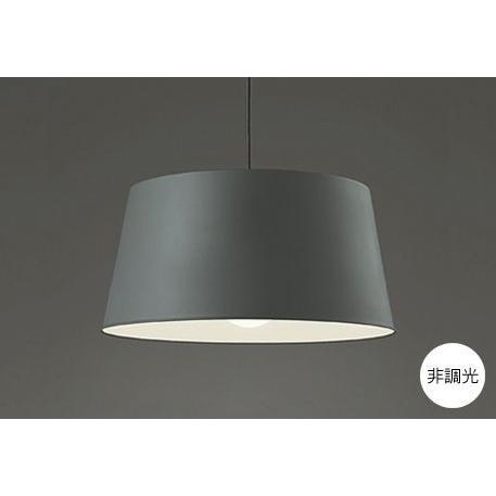 ペンダントライト照明 照明 吊り下げ 北欧モダン オレンジ色の光 電球色 LED電球 100W相当 非調光 鋼 OP252132LR