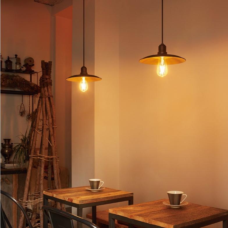 ODELIC（オーデリック） ペンダントライト照明器具 おしゃれ LED 照明