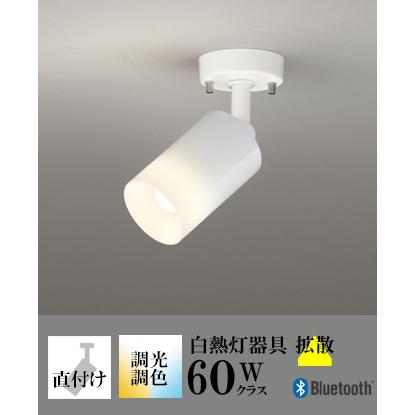 スポットライト天井直付けタイプ LED電球付属 調光器対応 おしゃれ LED