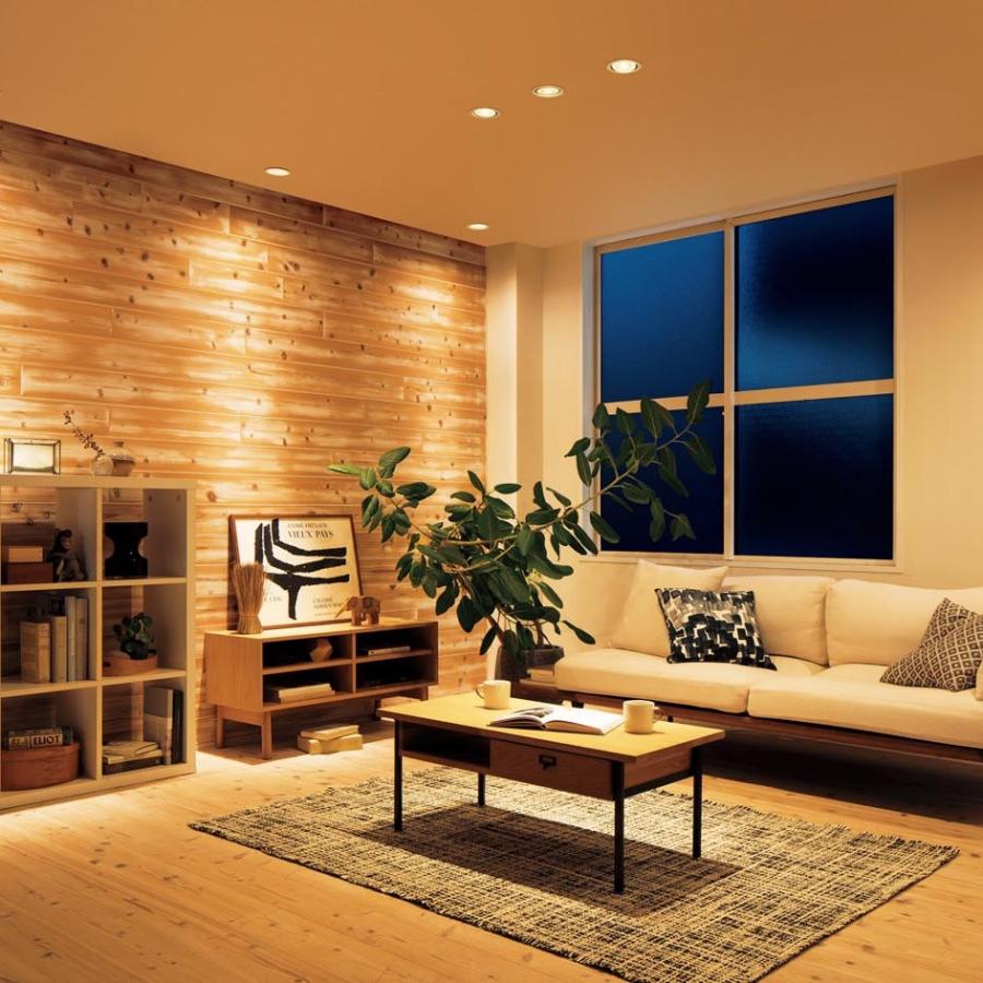 Panasonic ダウンライト 100φ埋込穴 一般型 LED電球 60形相当 Panasonic ダウンライト 100φ埋込穴 一般型 LED電球 60形相当