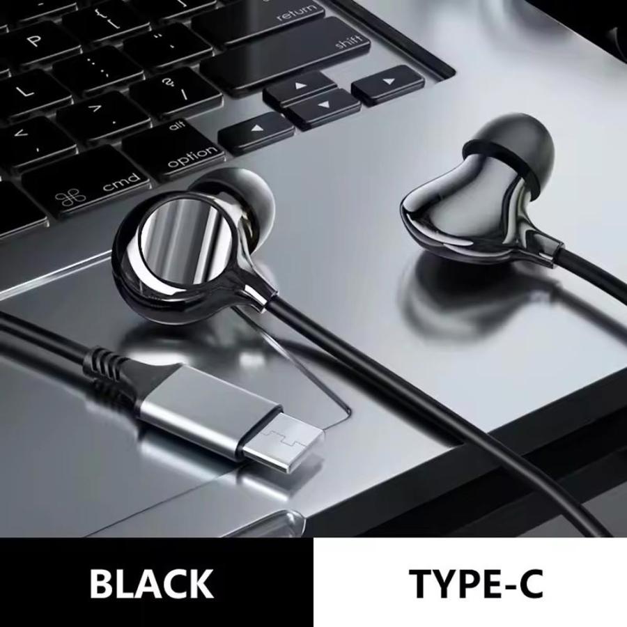 イヤホン 有線 ノイズキャンセリング Type-C タイプC iPhone16/15 対応