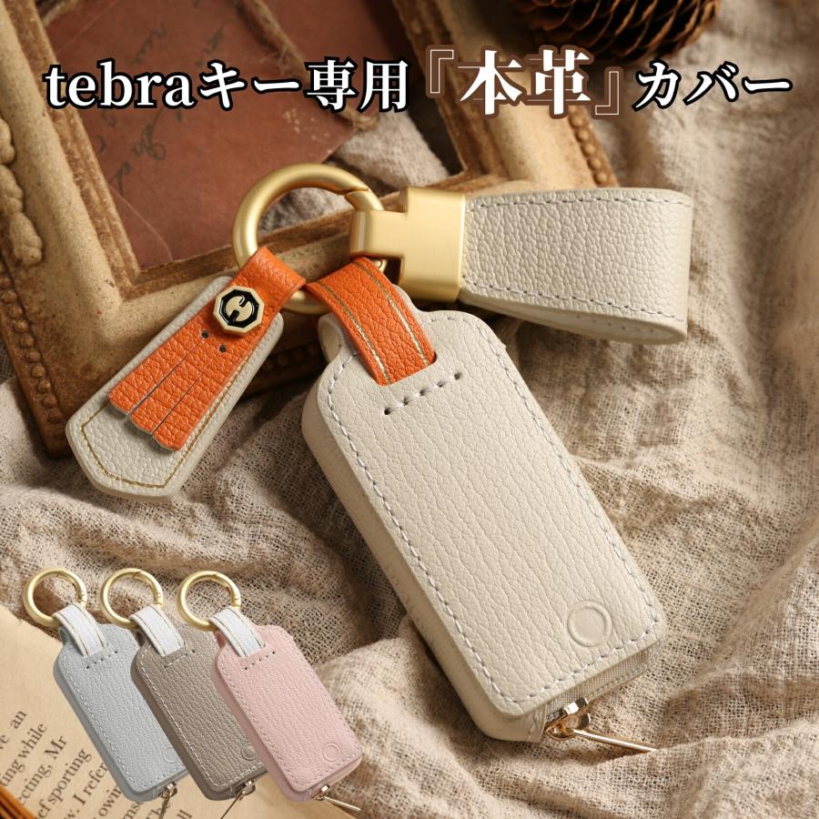Tebraキー くすみカラー キーケース Clavis マンション ハンズ
