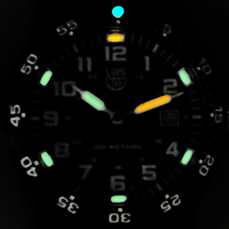 LUMINOX ルミノックス 新品 腕時計 0323 レザーバック シータートル ジャイアント T25表記 44mm スイス製 並行輸入品 送料無料 | SEA TURTLE | 06