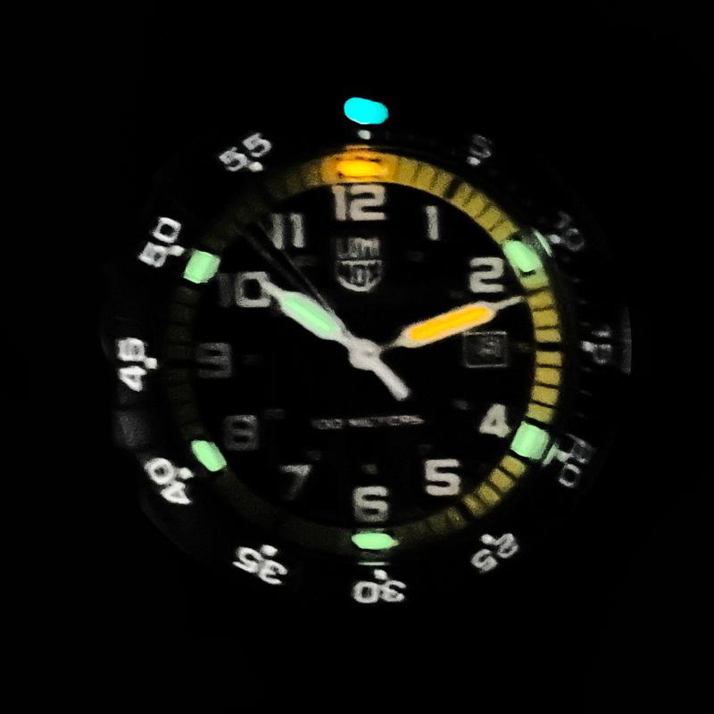 LUMINOX ルミノックス 新品 腕時計 0325 レザーバック シータートル ジャイアント T25表記 44mm スイス製 並行輸入品 送料無料 | SEA TURTLE | 06