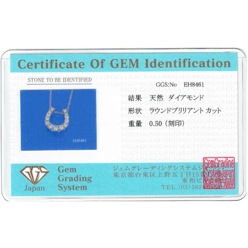 Pt900/850 ダイヤモンド 馬蹄ペンダントネックレス 鑑別カード付き 