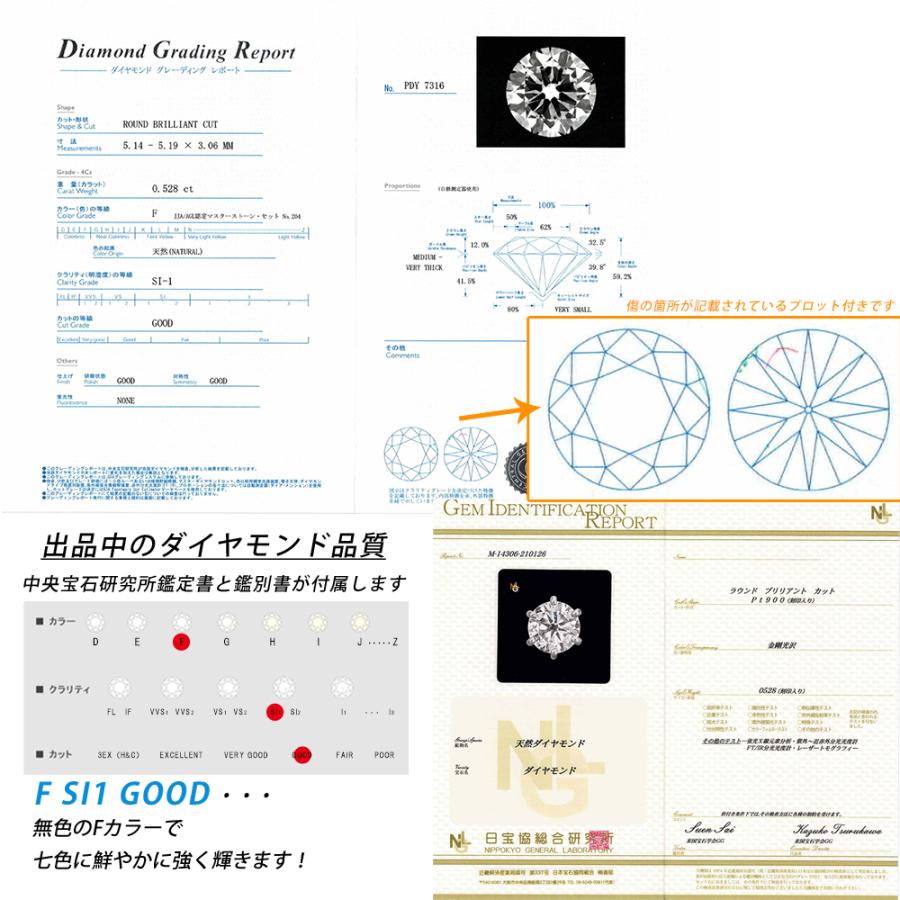 Pt900 0.5ct ダイヤピアス 片耳 プラチナ 1粒ダイヤモンド 0.528ct F SI1 GOOD 鑑定書付 メンズ 軸太長 ポストが長い・太い ori24 |  | 05