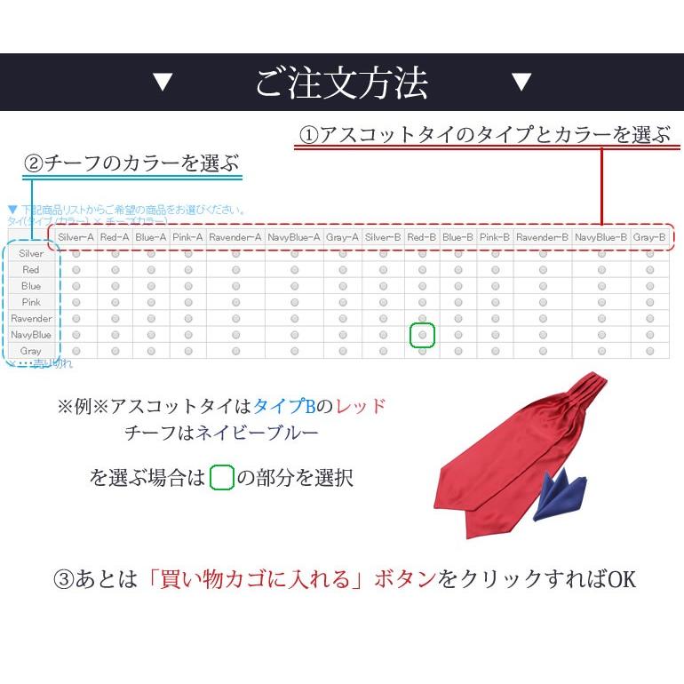 スマートビズ アスコットタイとポケットチーフ2点セット メンズ 紳士用