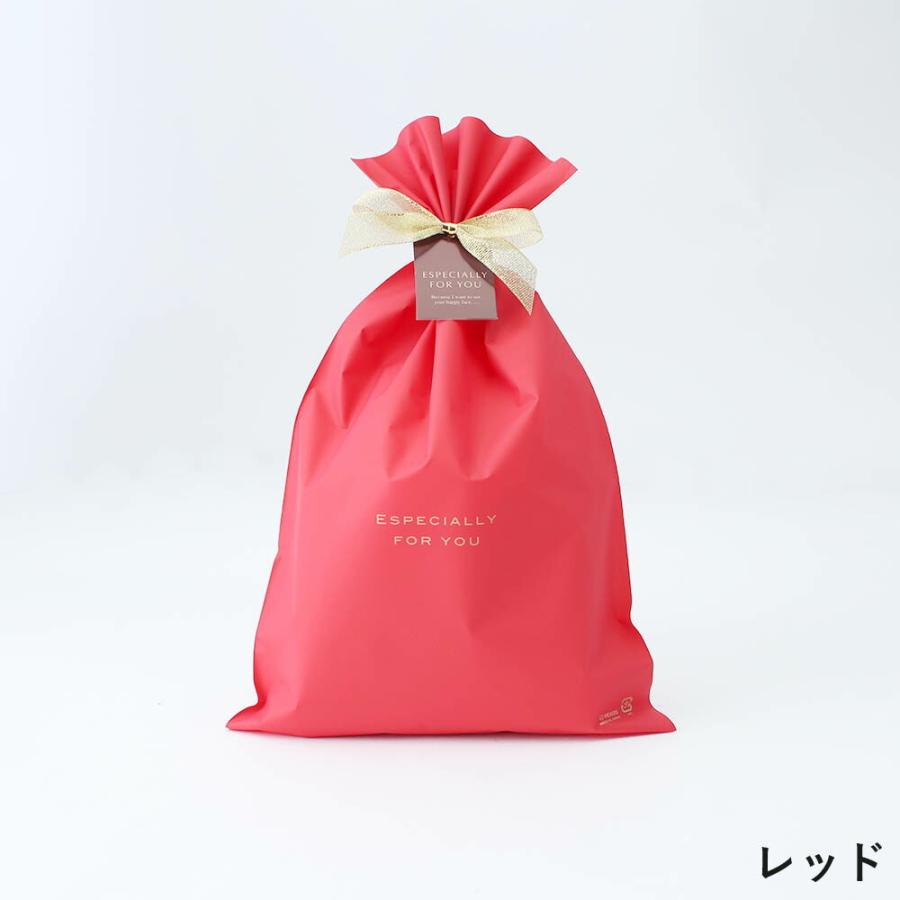 ギフトラッピングサービス 色が選べる マット素材ナイロンバッグ