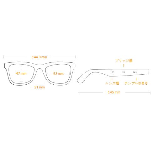 レイバン 眼鏡 RX2210V 2000 53 ユニセックス ウェイファーラー クリア