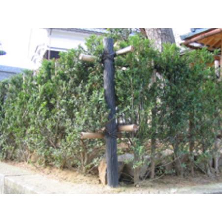 【１６本入】大研化成　擬木杭　55Φｘ600ｍｍ　G-5506　１ケース(１６本入) 【代引不可】【北海道・沖縄・離島配送不可】 |  | 02