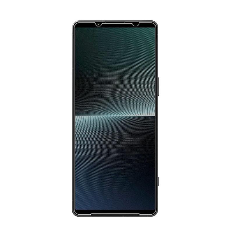 Xperia 1 V のぞき見防止 保護フィルム SO-51D docomo/SOG10 au