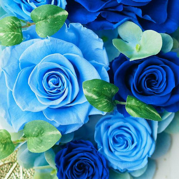 プリザーブドフラワー フレームアレンジ ブルー 奇跡の青い薔薇 Flb Frbll スマートギフト Yahoo 店 通販 Yahoo ショッピング