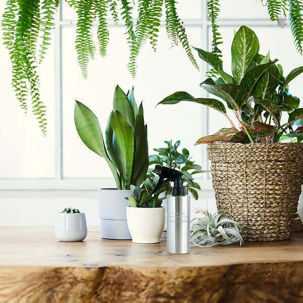 名入れ ステンレス スプレーボトル 霧吹き |  | 05