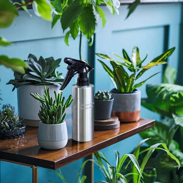 名入れ ステンレス スプレーボトル 霧吹き |  | 08