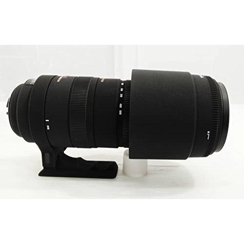 話題の行列SIGMA 超望遠ズームレンズ APO 150-500mm OS HSM DG F5-6.3