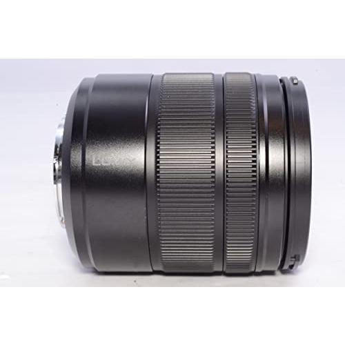 パナソニック 高倍率ズームレンズ マイクロフォーサーズ用 ルミックス G VARIO/14-140mm/F3.5-5.6IIASPH