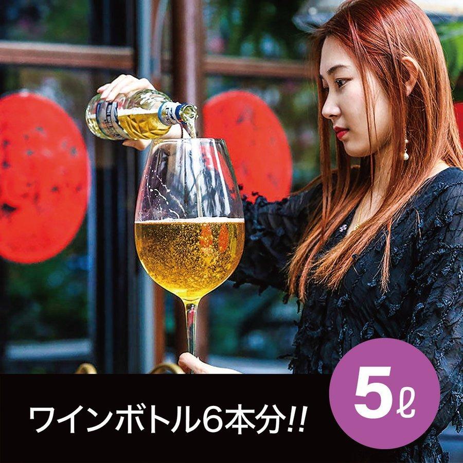 特大ワイングラス 特大 グラス ワイン ビール 直径17cm 高さ50cm 5L