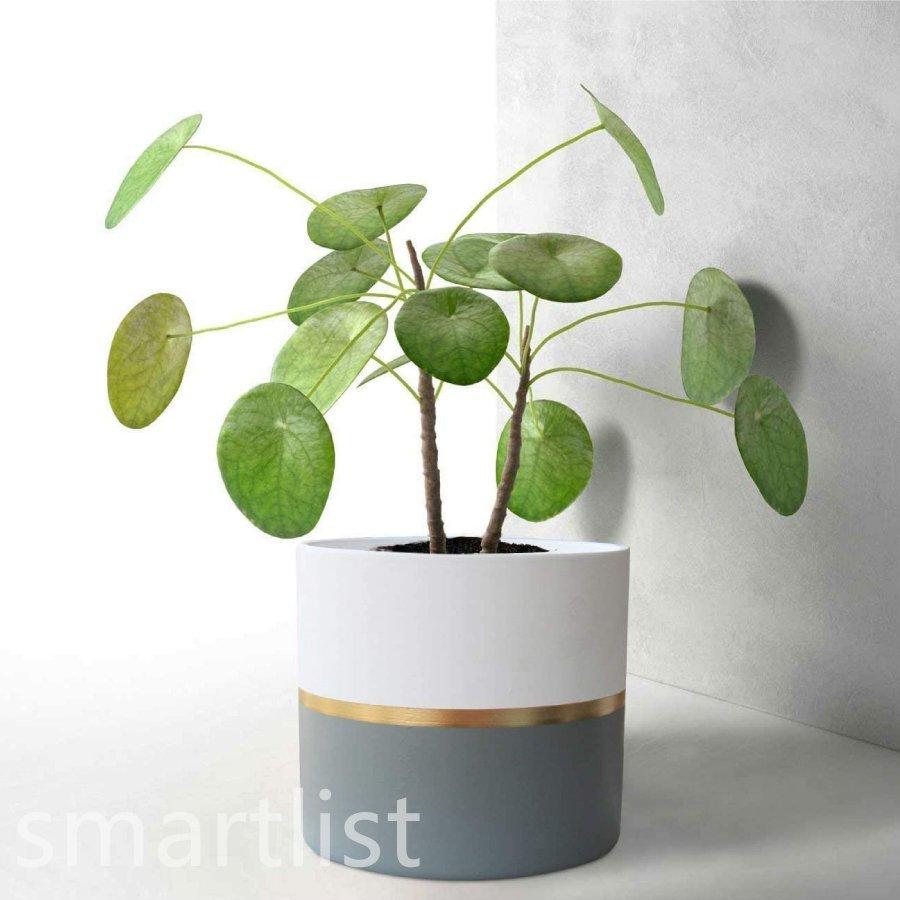 陶器鉢 植木鉢 おしゃれ 鉢植え プランター 円筒形 室内鉢 受け皿付き 穴あり 多肉植物 観葉植物鉢 送料無料 価格は安く