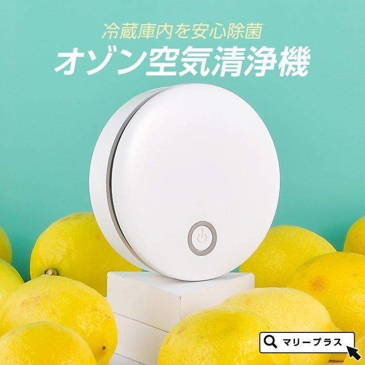 脱臭機 オゾン オゾン脱臭機 空気清浄機 効果 ペット 小型 トイレ 充電式 コンパクト 防菌 消臭 家庭用 冷蔵庫 下駄箱 車 脱臭 消臭剤 カラー Pink Www Van Extras Co Uk