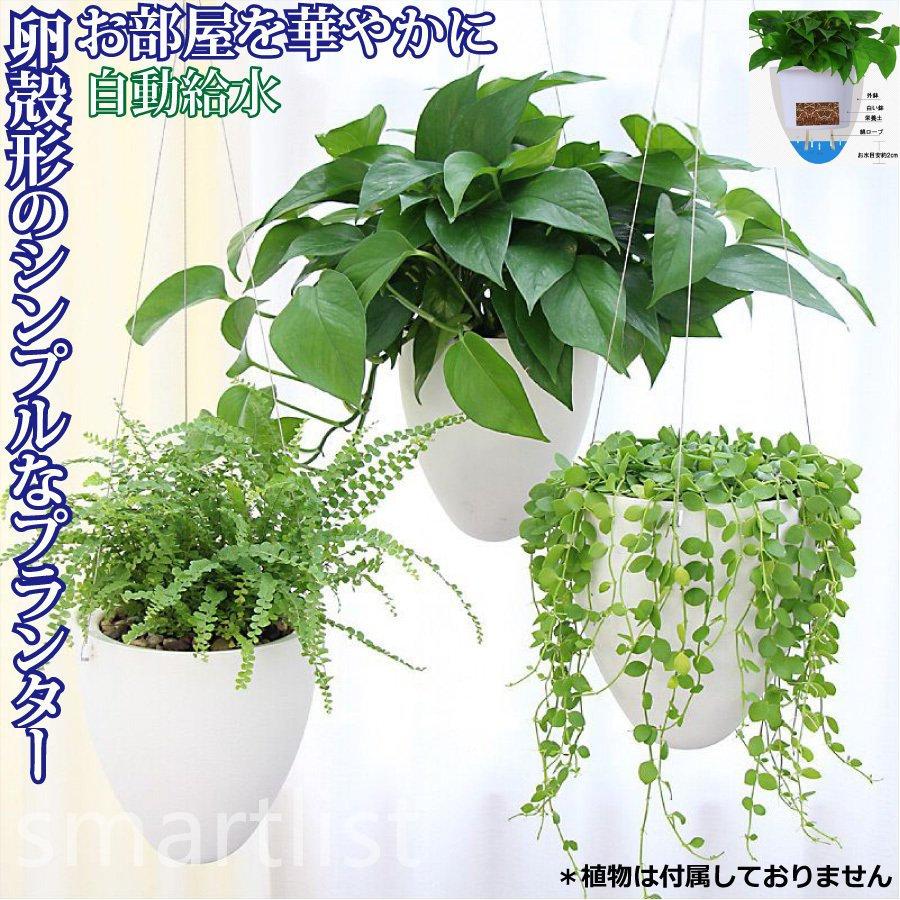 卵 オシャレ 壁掛け 吊り下げ モダン プランター ハンギングバスケット 観葉植物 インテリア 室内 屋外 おしゃれ｜smartlist