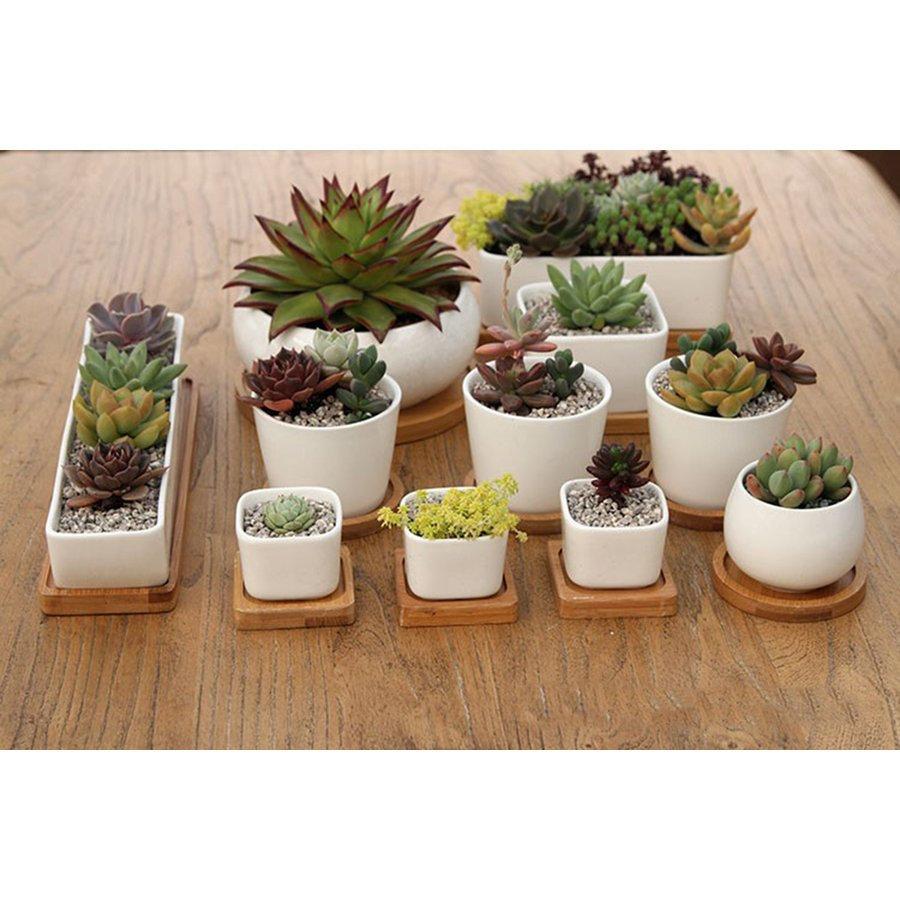 植木鉢 ガーデニングオブジェ 鉢植え フラワープランター 多肉植物 サボテン ミニ プランター おしゃれ 可愛い 送料無料