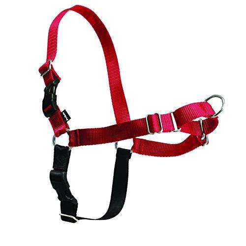 PetSafe（ペットセーフ） イージーウォークハーネス 犬用 引っ張り防止 散歩 トレーニング用ハーネス【Mサイズ レッド＆ブラック】 | 