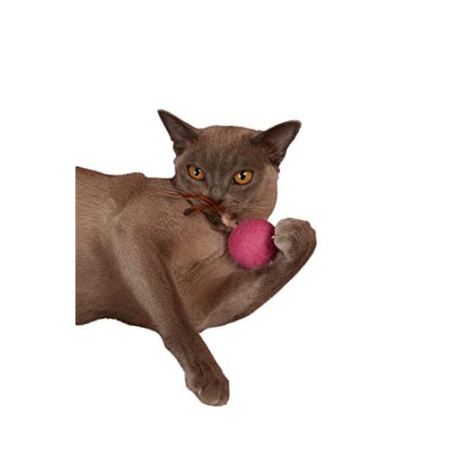 ドギーマンハヤシ じゃれ猫NekoToyBox 羽つき羊毛ボール | 