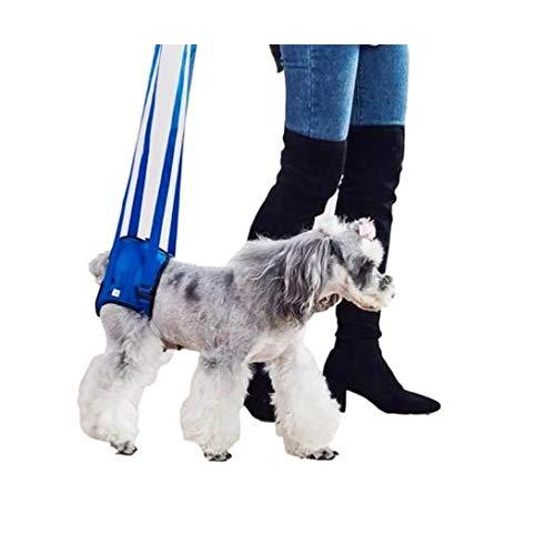 犬 ハーネス 散歩 介護 介助 歩行補助 老犬 保護犬 後ろ足用 抜けない 小型犬 リード 簡単装 (L ブルー) | 