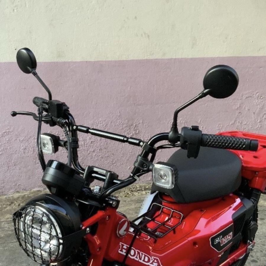 寺崎廣業 美人画に猫図絹本大副掛軸 寺崎廣業 美人画に猫図絹本大副掛軸