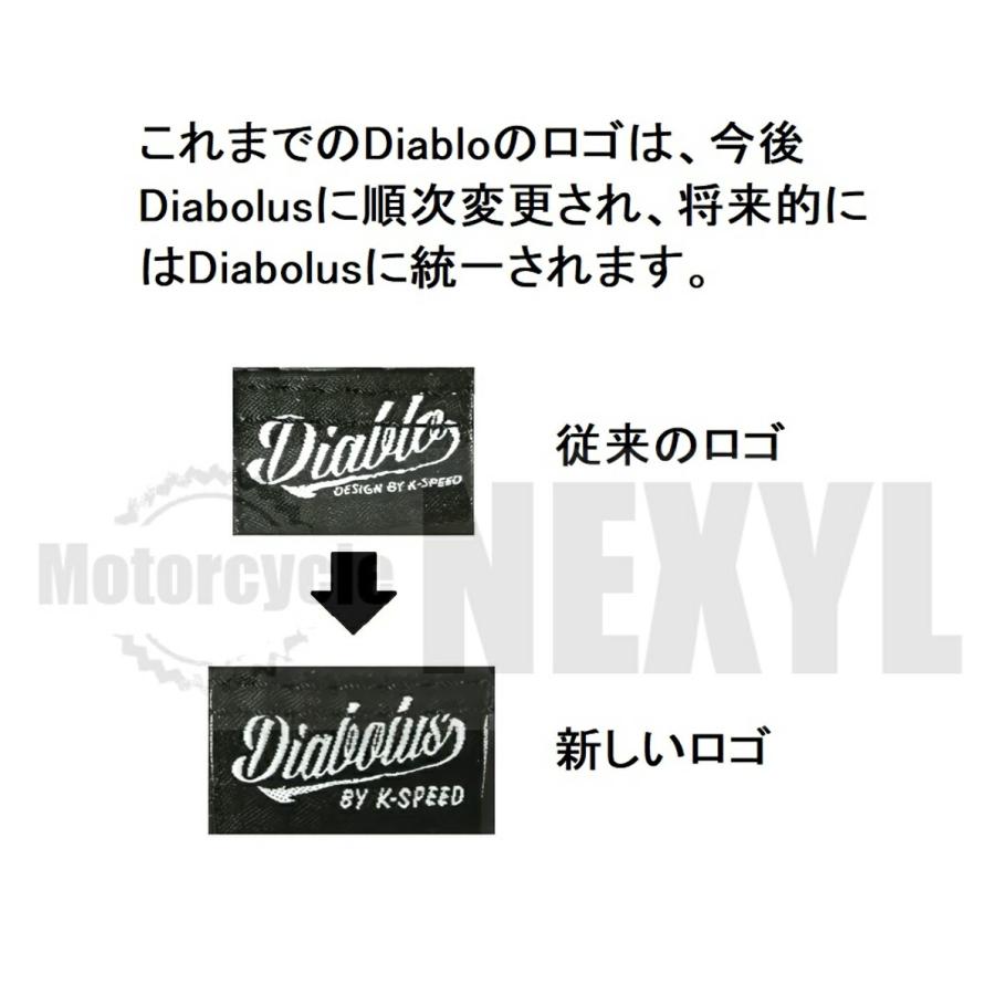 ホンダ レブル250/500/1100 LEDウィンカーRB0168/Diabolus by K-SPEED(旧Diablo Custom Works)中級者以上向け｜smartsmokers｜05